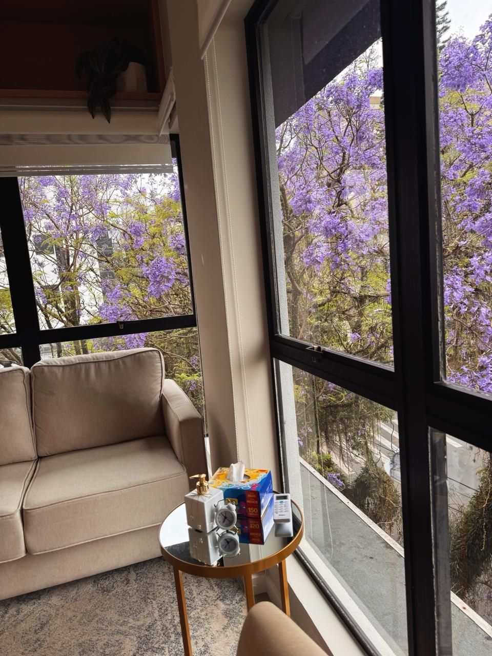 Carolina Giovelli Karlec Wall-1