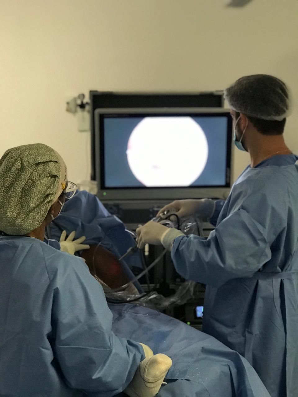 Pedro Gouveia Bastos-8