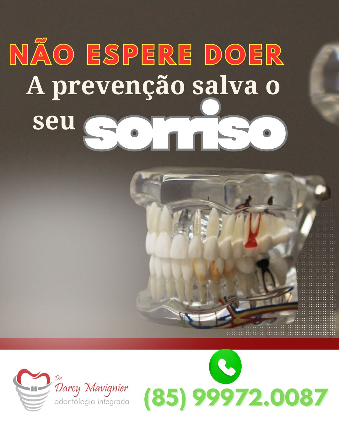 Darcy Furtado Mavignier Neto-15