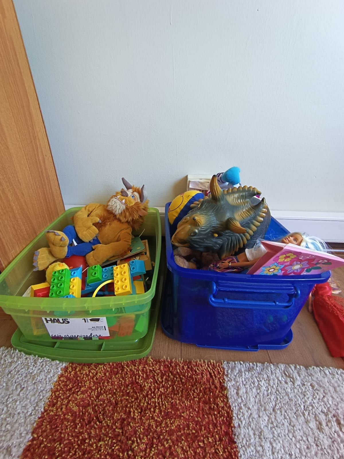 Carolina Pinto Vilches-4