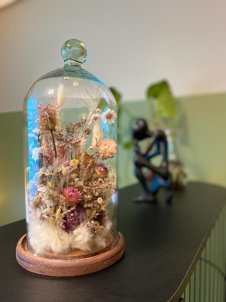 Rossana Fragoso Silva-1