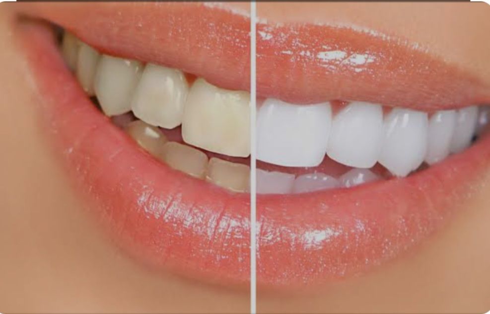 Maria Isabel Freitas Pinheiro-17