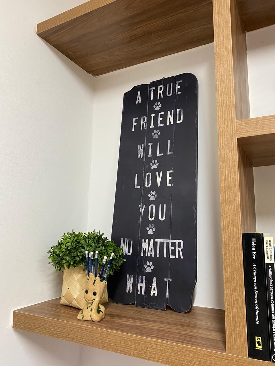 Ana Paula Adler Borges-4