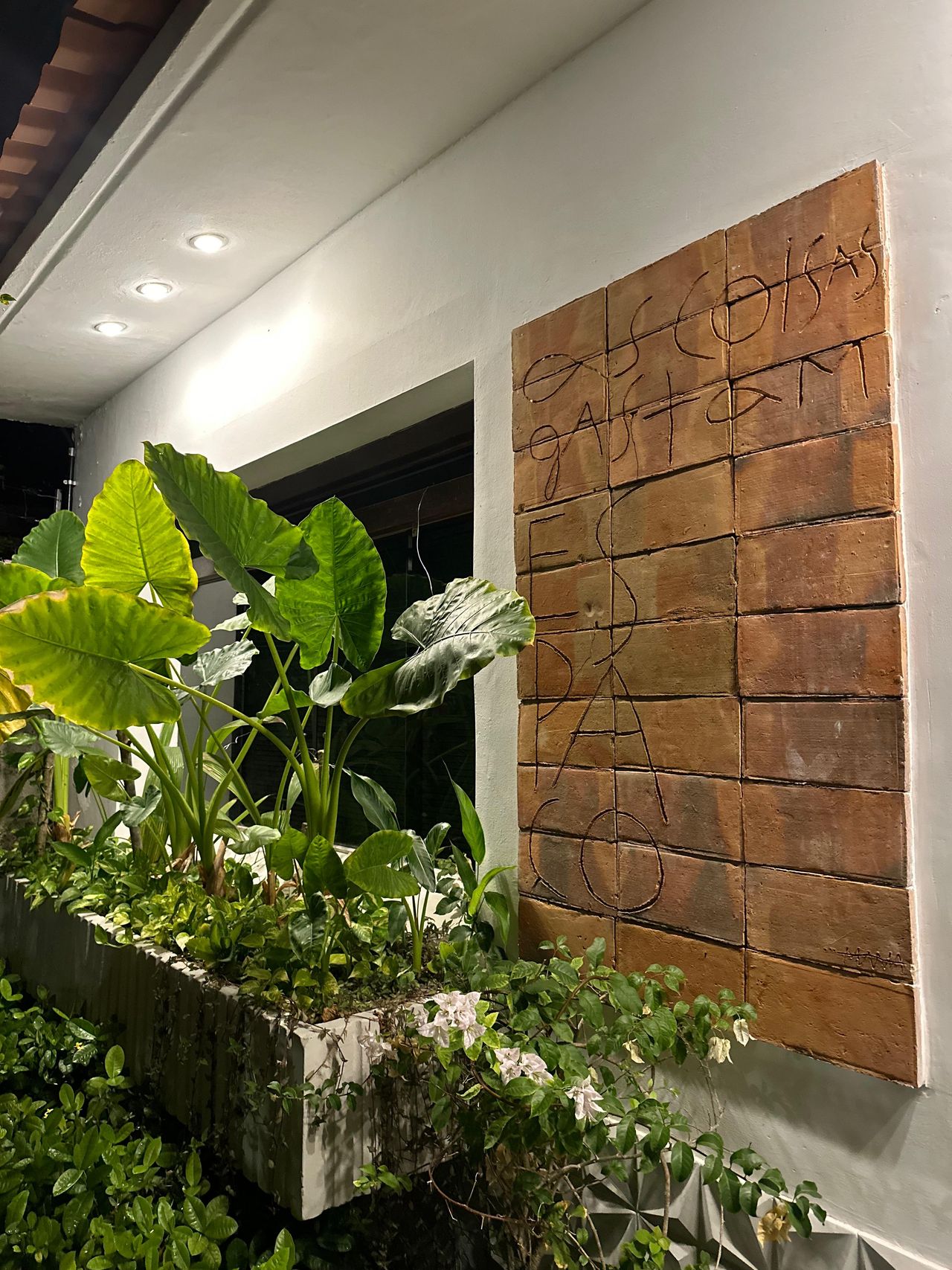 Maria Thereza Caxias Albano-2