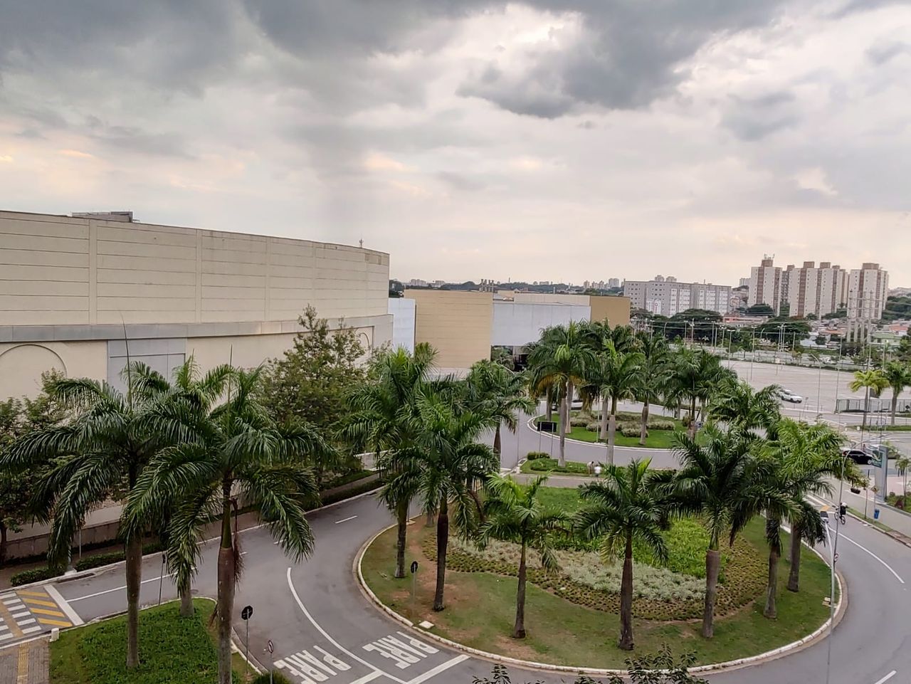 Luciana Pires Zambom-10