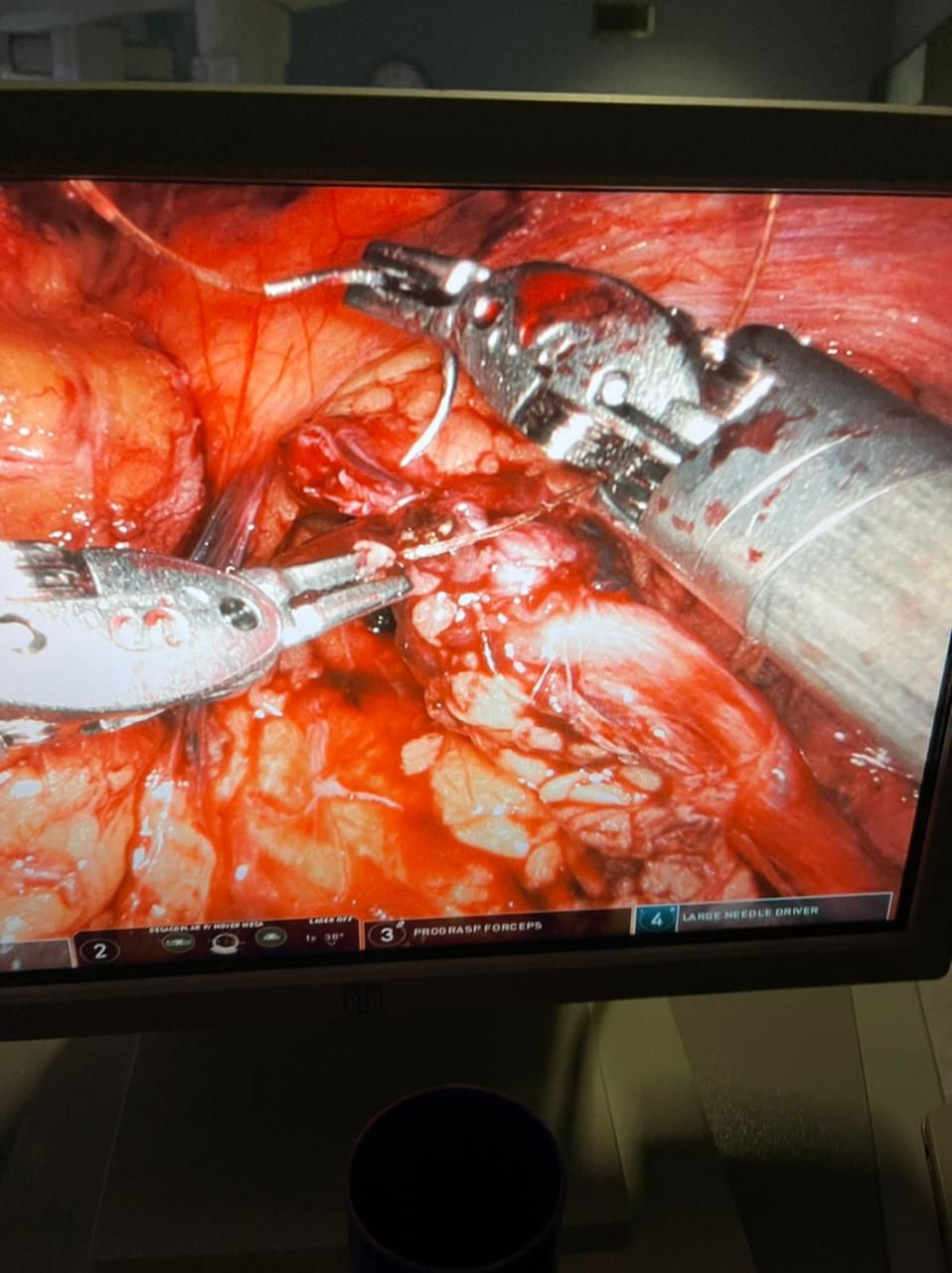 Guilherme Braga Lamacchia-2