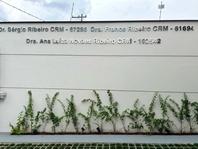 Ana Luíza Novaes Ribeiro-1