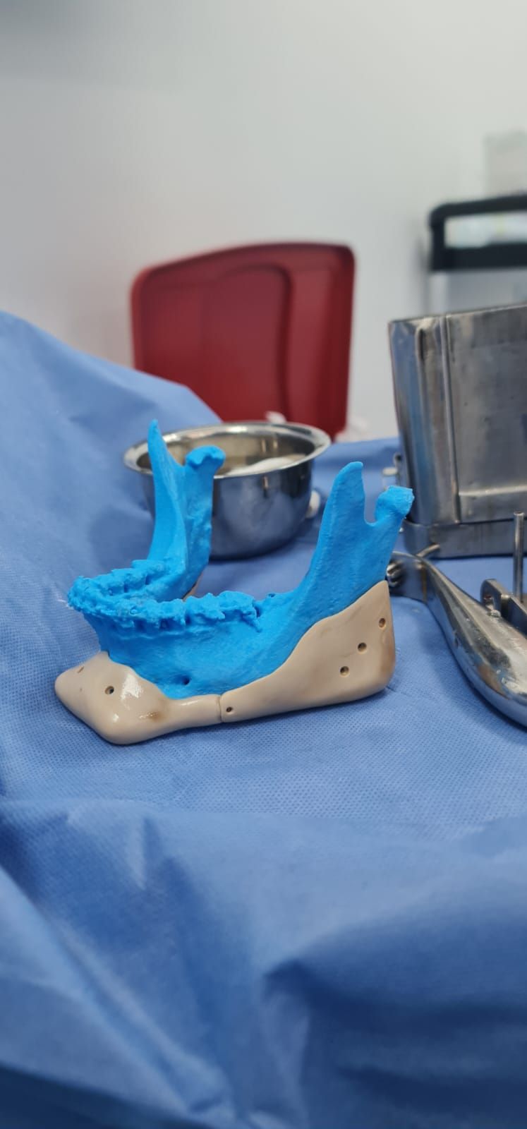 Luisa Fernanda Gomez Reyes-13