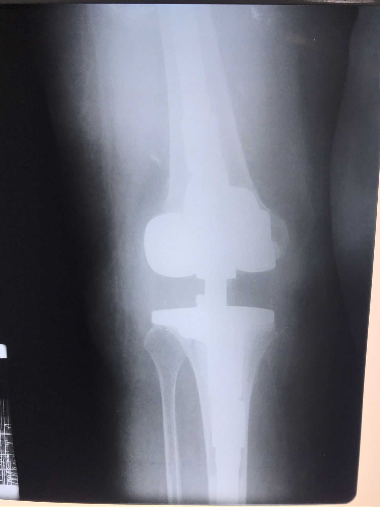 Eduardo Ramalho De Moraes-7