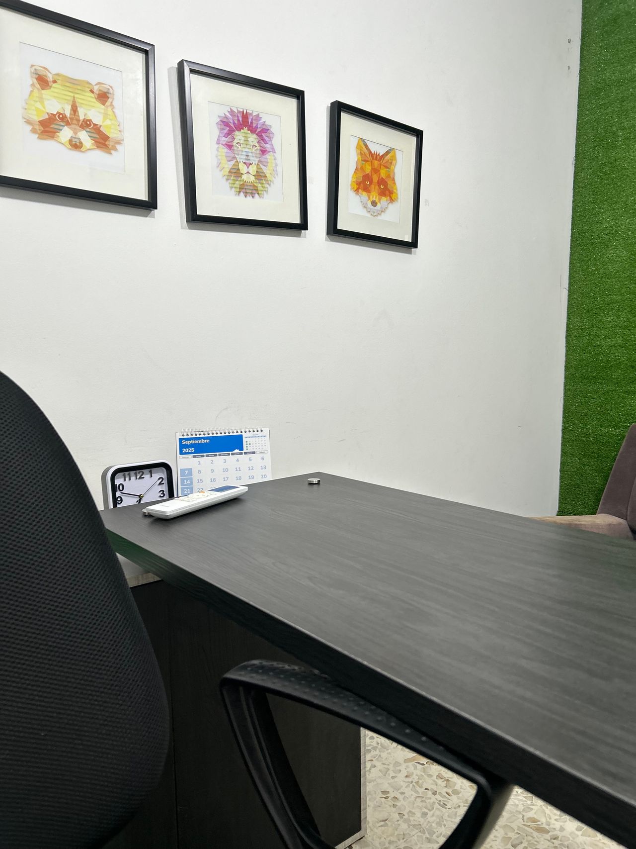 Juliana Andrea Moncayo Meneses-0