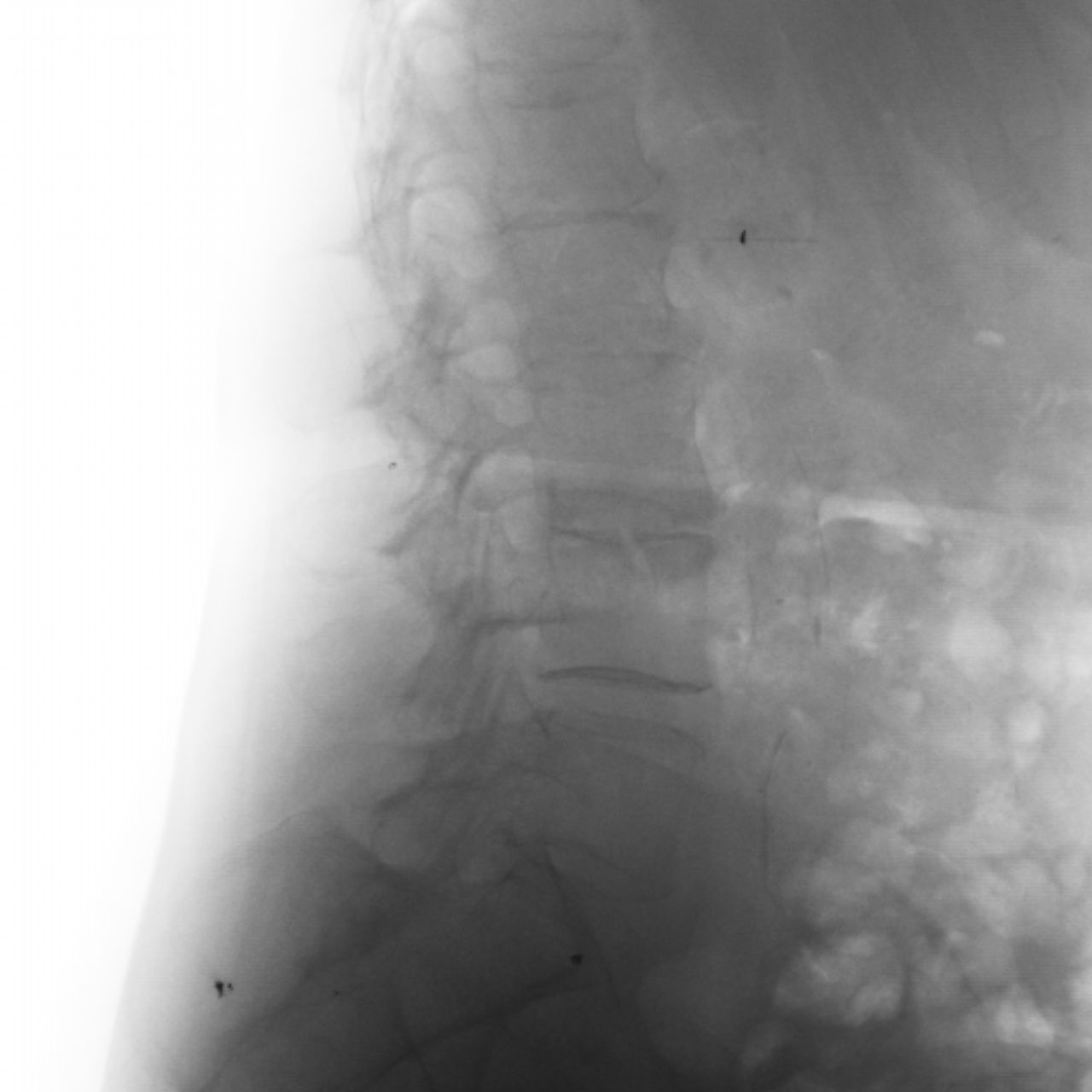 David Tafur Muñoz-1885