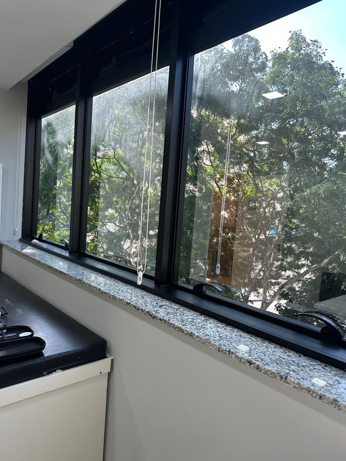 Isis Reis Carvalho-2