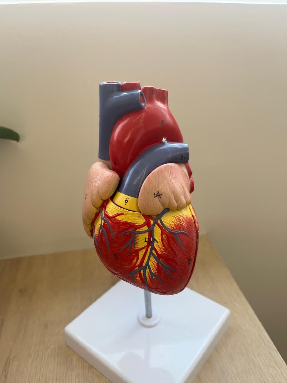 Fernanda Brito Prado-1