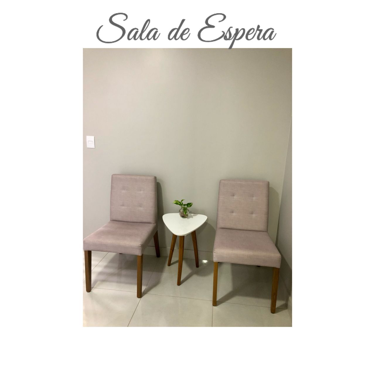 Carolina Rodrigues Santarém Muniz-4