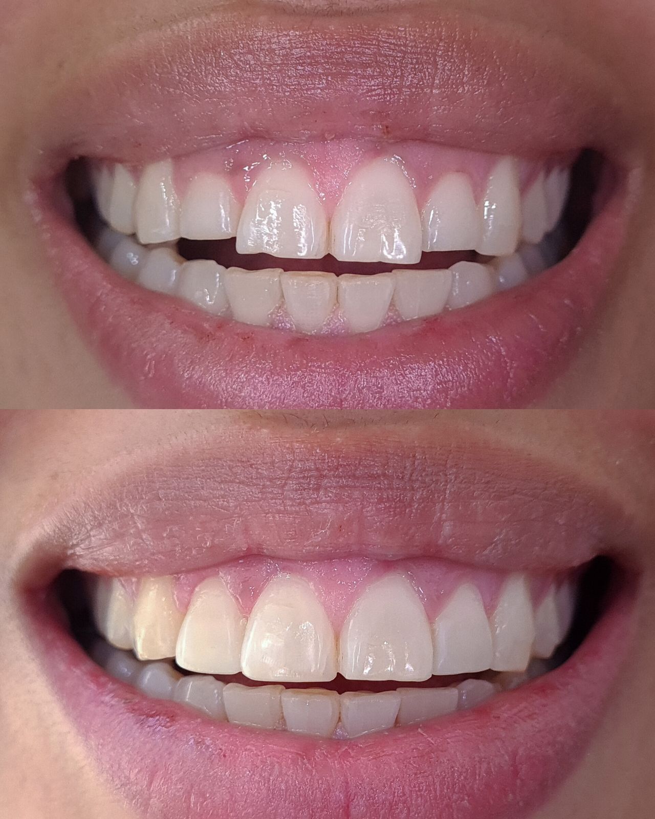 Silvia Bustamante -2