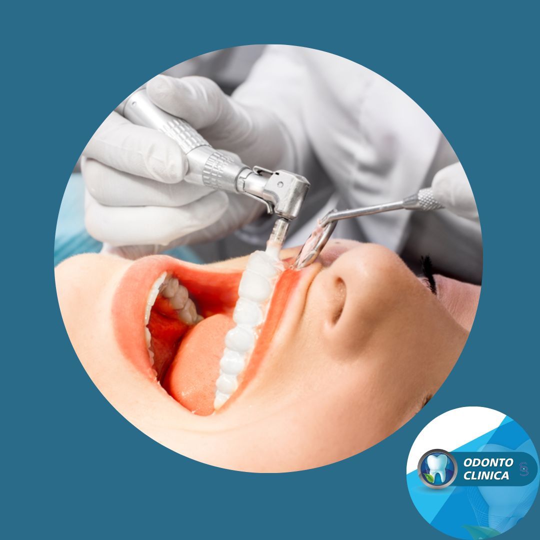 Cecilia Inés Socias Altamirano-40