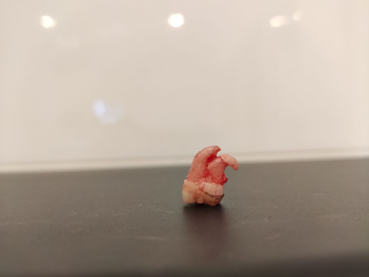 Fernando Germain Edwards-1