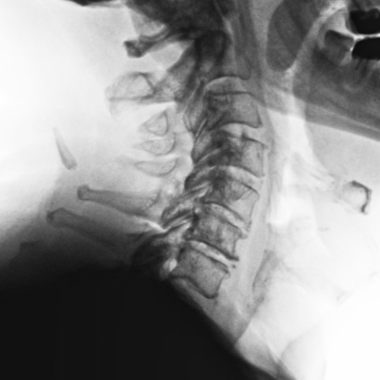 David Tafur Muñoz-1846