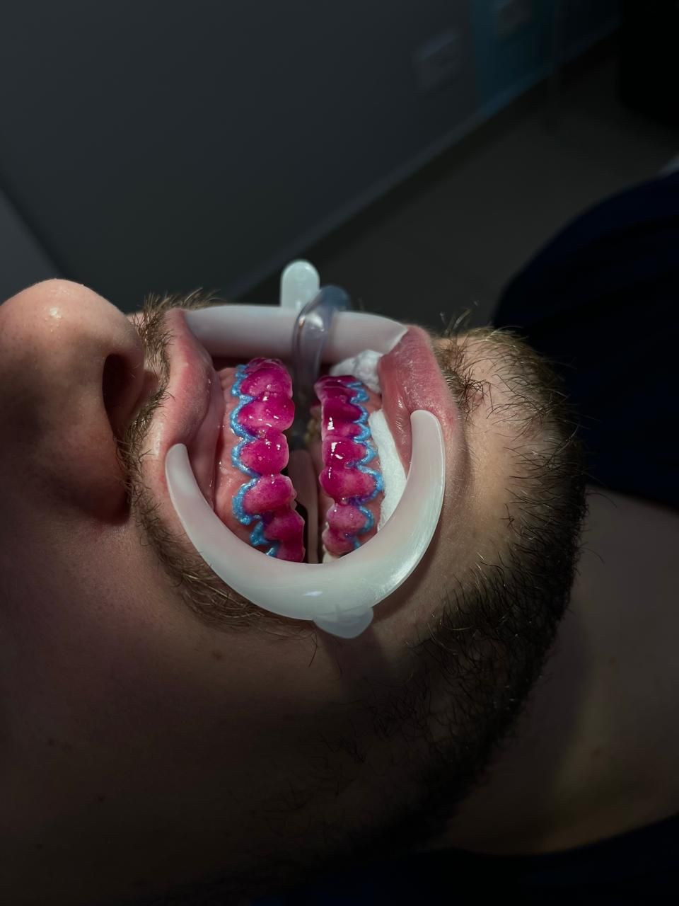 Alice Miguel  Gonçalves-4