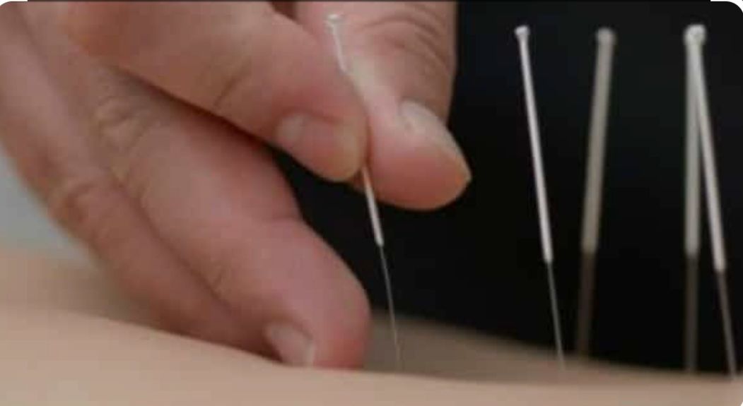 Maria Isabel Freitas Pinheiro-10