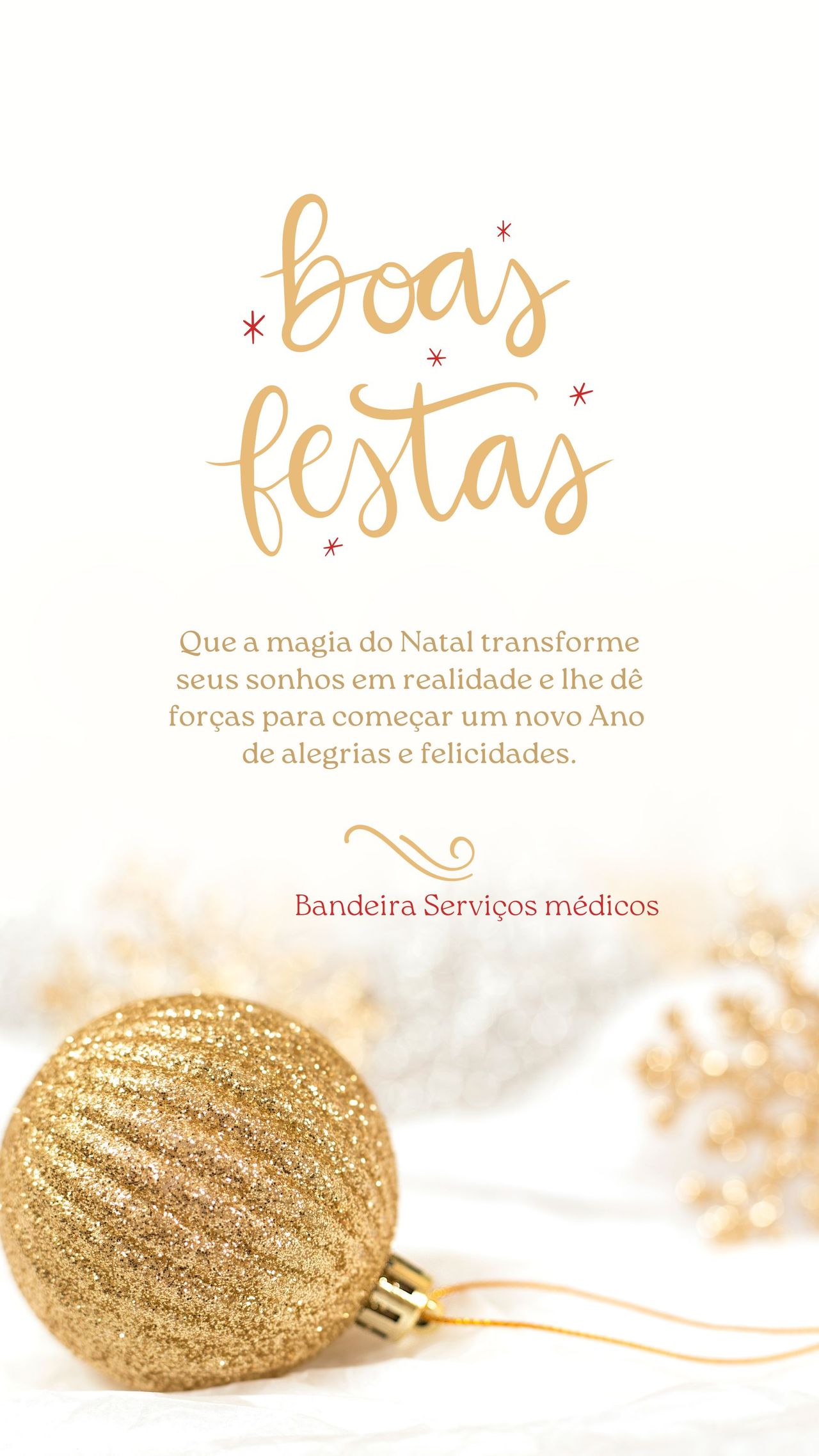 Ricardo Ezidio Andrade Bandeira-1