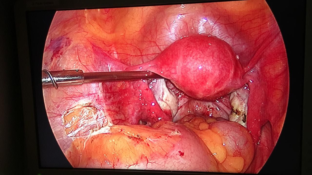 Paulo Cesar P Zarco Da Camara-0