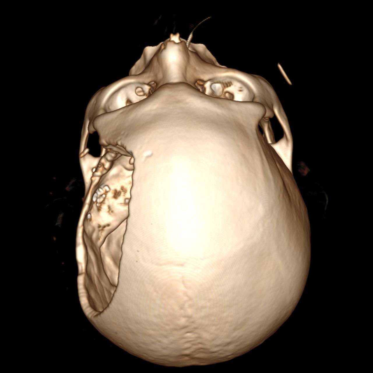 David Tafur Muñoz-1274