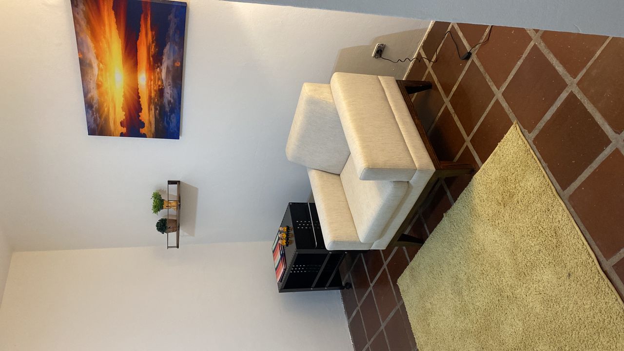 Luisa Moraes Correa Carvalho-1