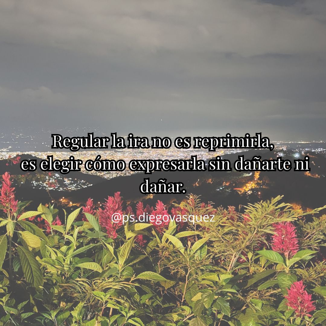 Diego Fernando Vasquez Espinosa-37