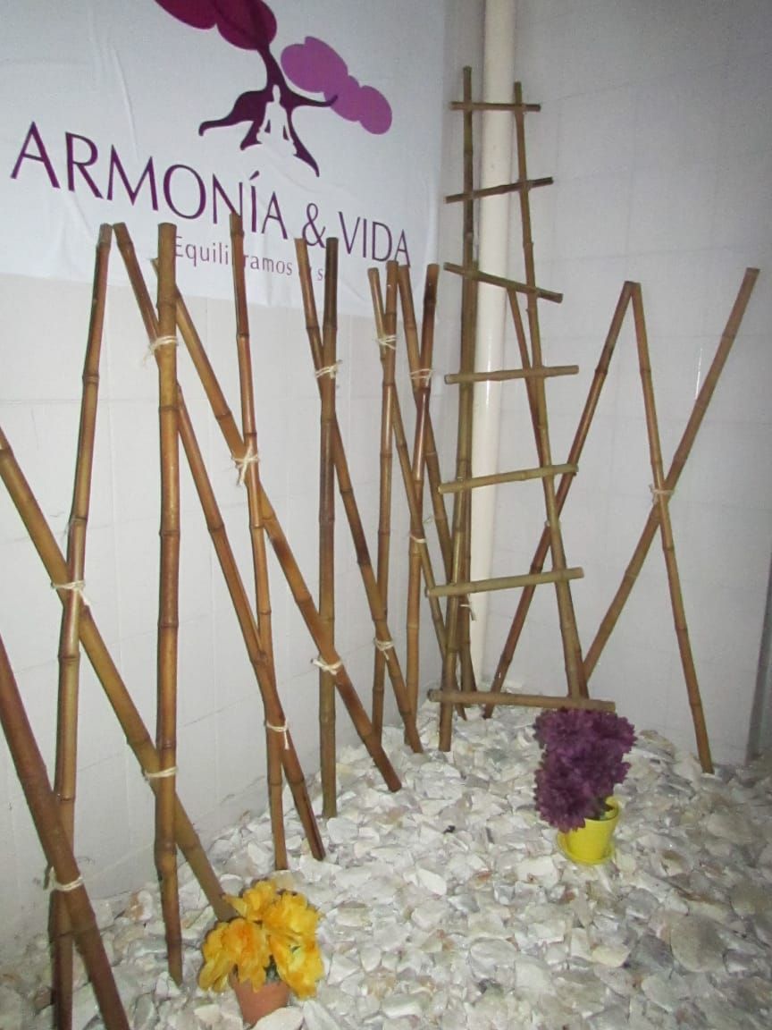 Jhonnathan Porras-19