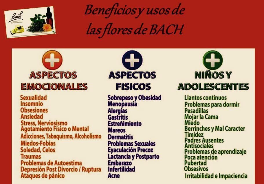 Jessica Romero Leiva-26