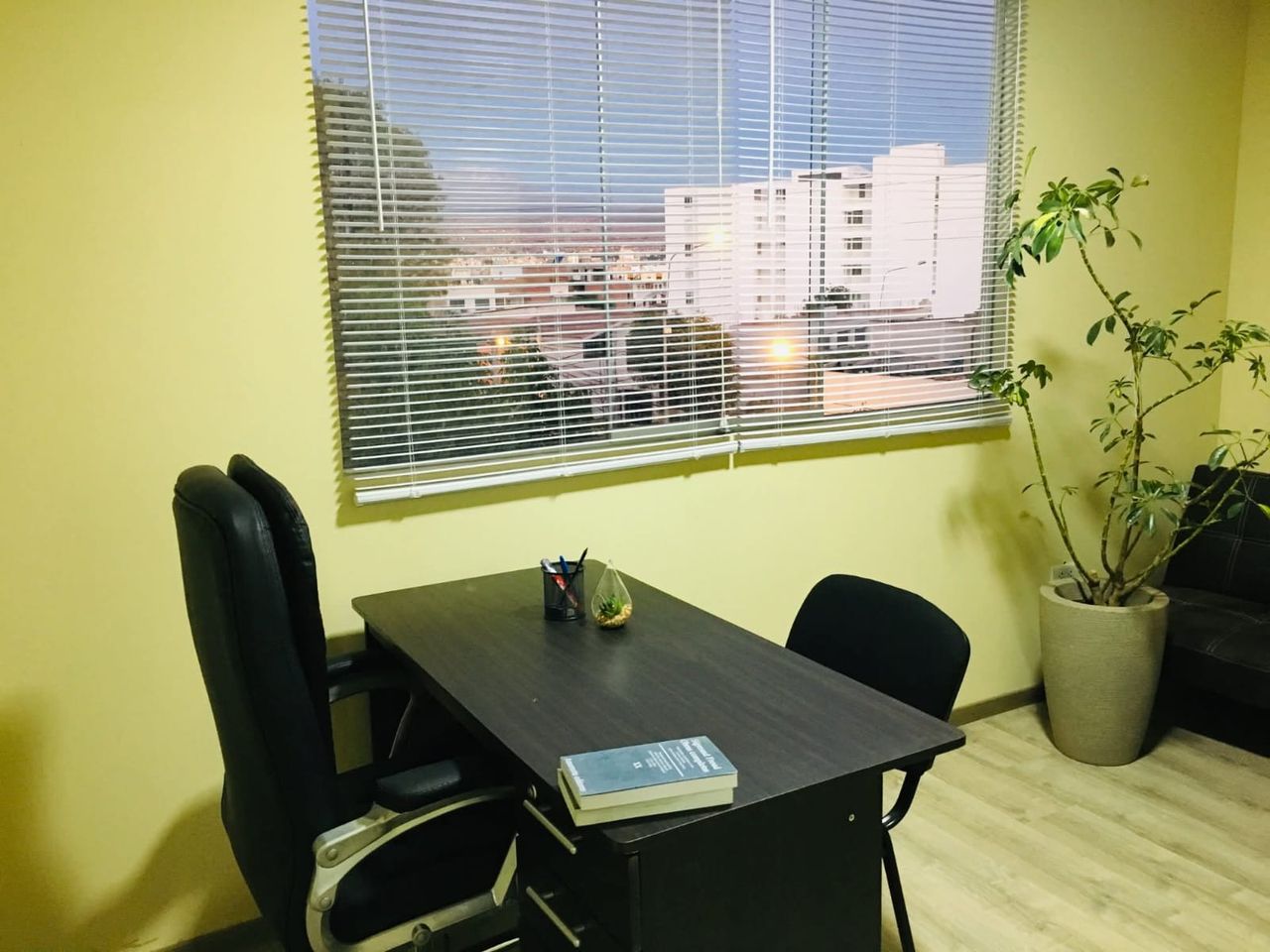 Javier A. Del Carpio Villafuerte-1