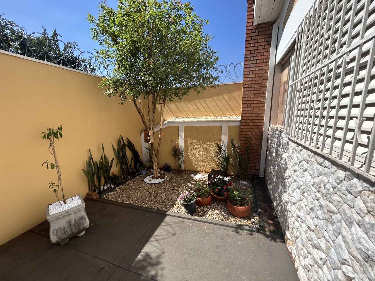 Tatiana Alves Da Silva-4