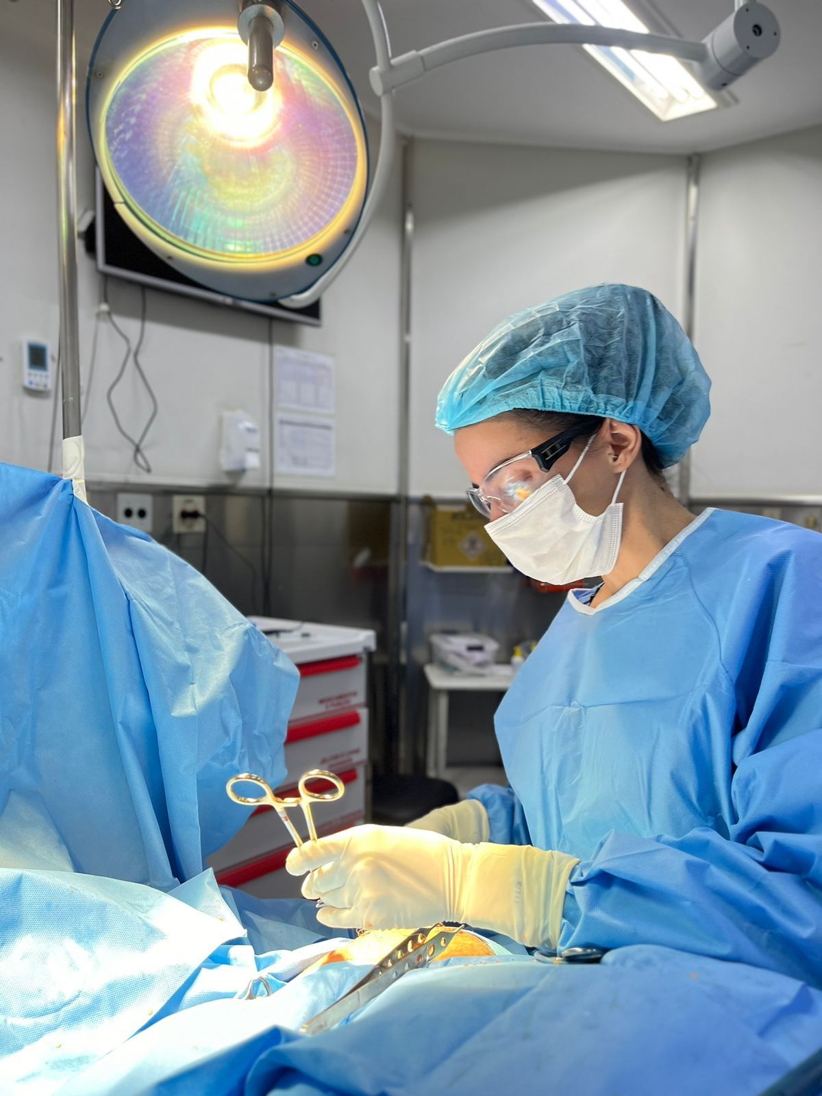 Maria Tereza Silveira Moreira-1