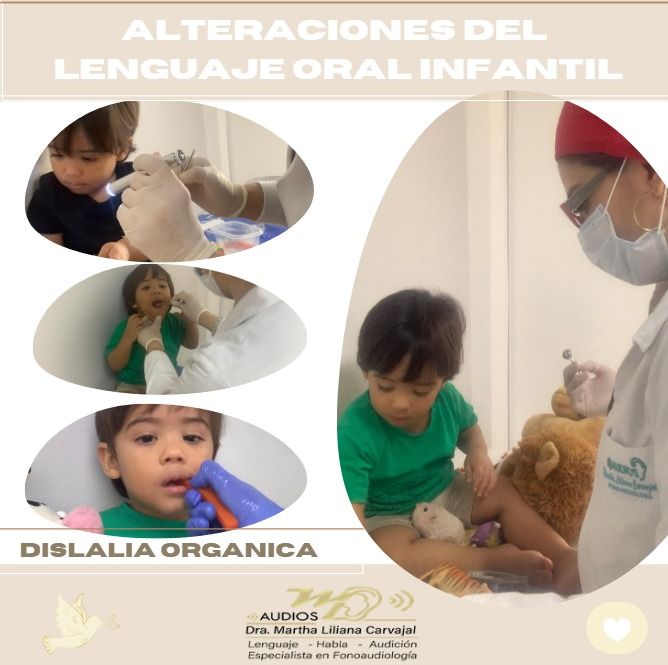 Martha Liliana Carvajal Peña-36