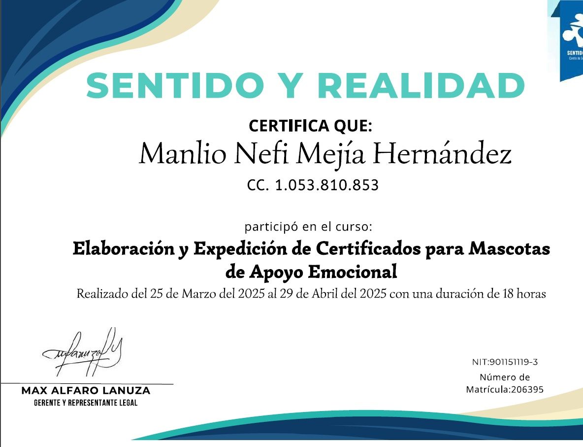 Manlio Nefi Mejia Hernandez-2