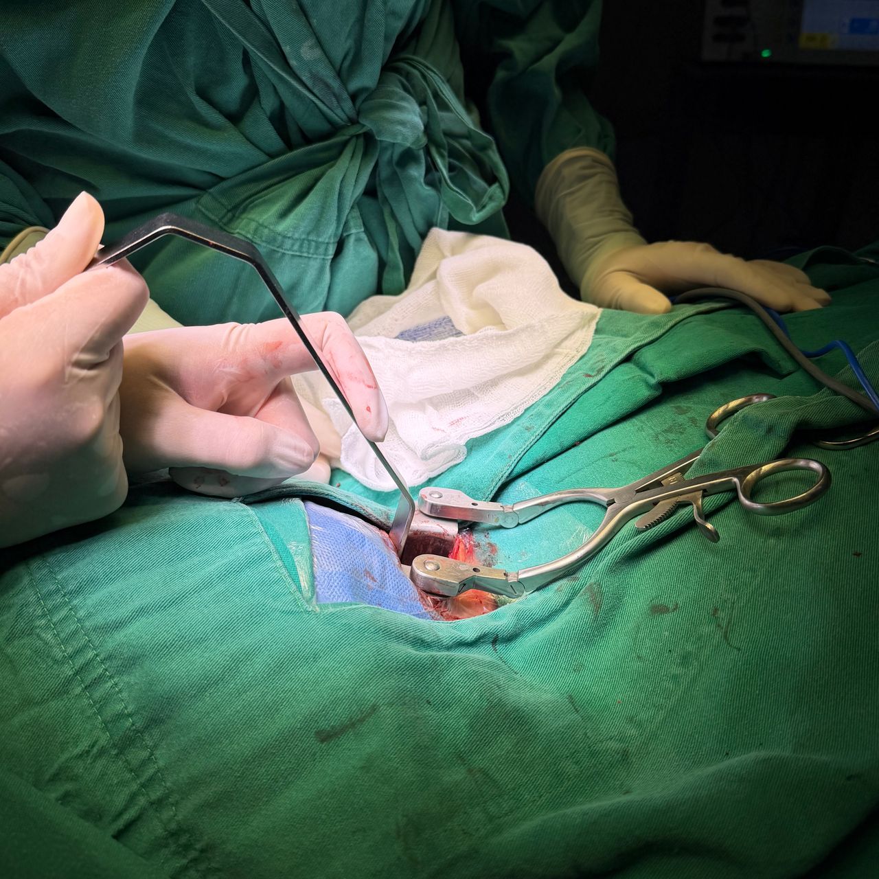 David Tafur Muñoz-2437