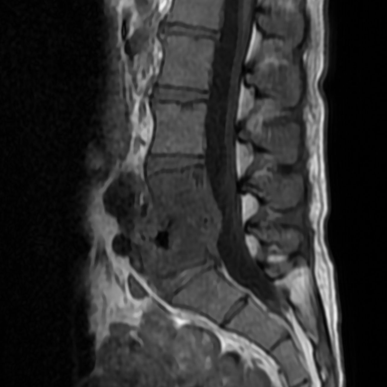 David Tafur Muñoz-1837