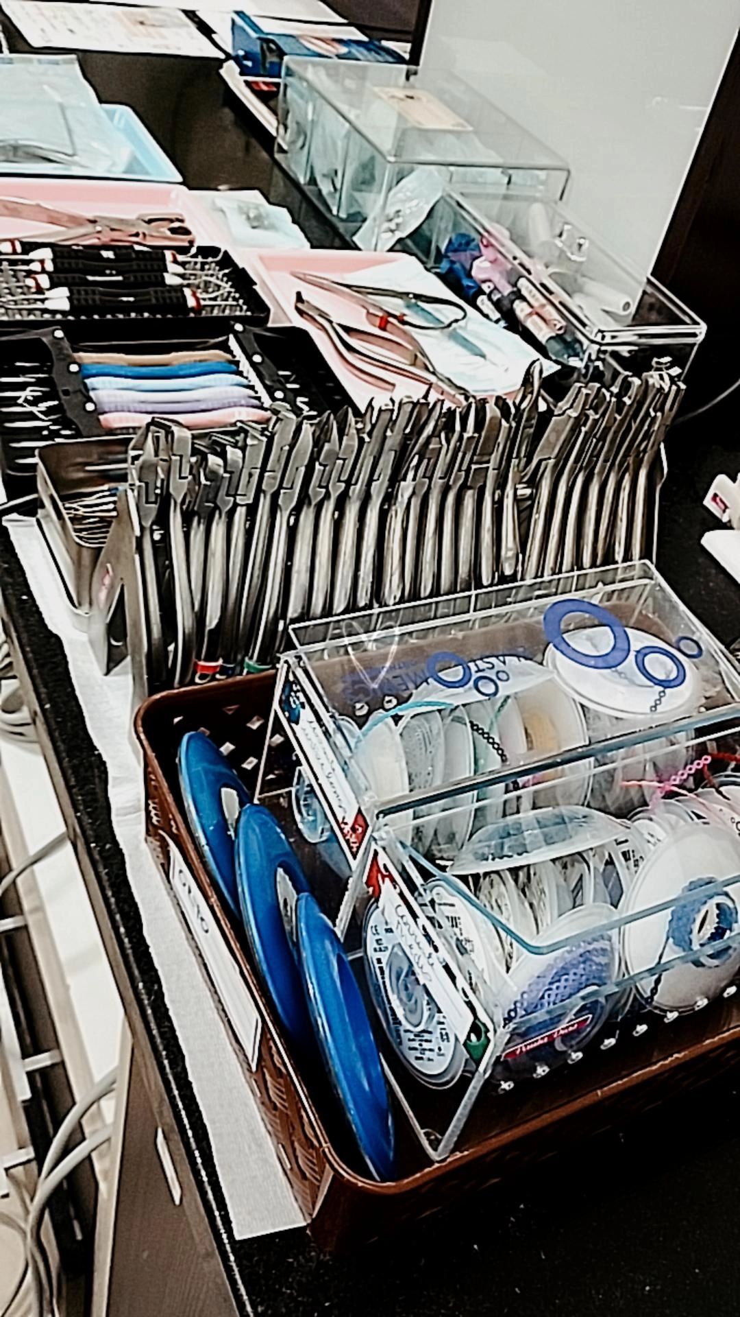 Paula Veridiana Uehbe Dias-26