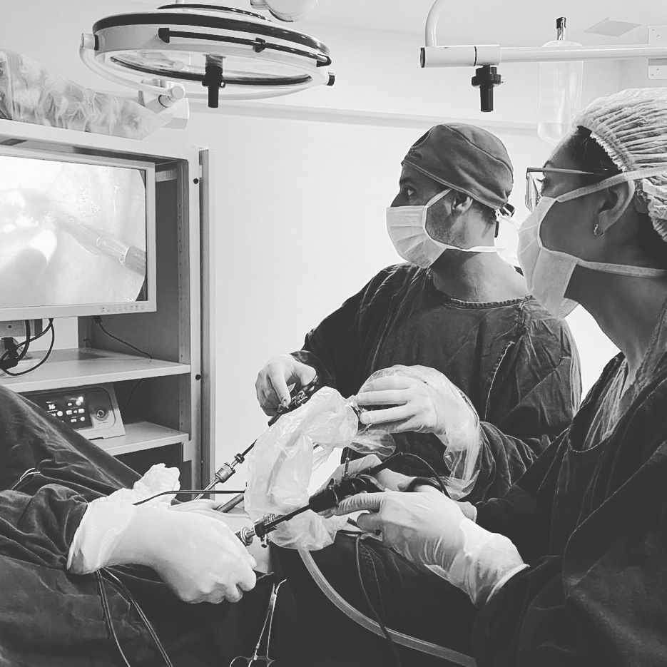 Tainá Pezzin Rocha-5