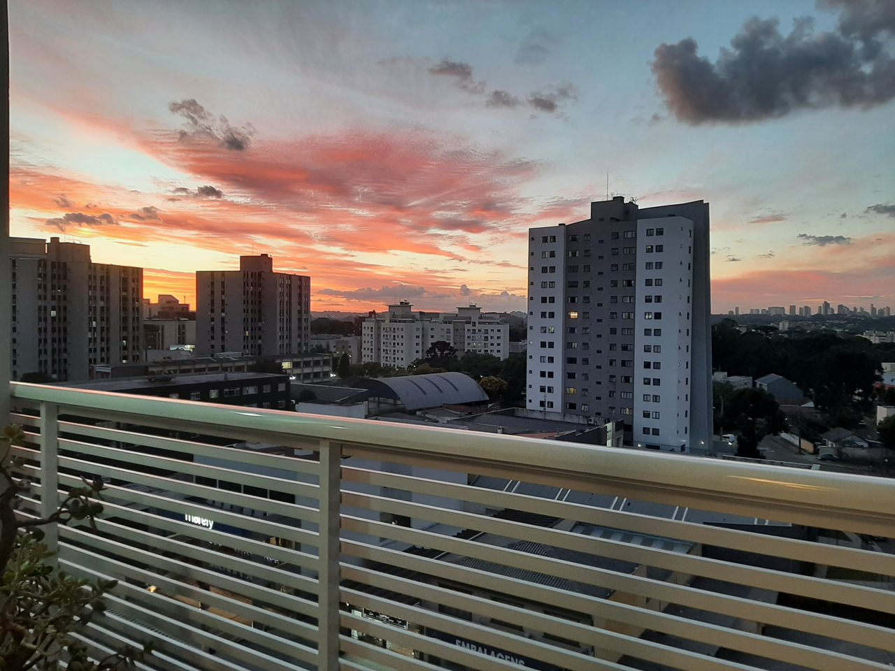 Marcio Araujo Busato-4