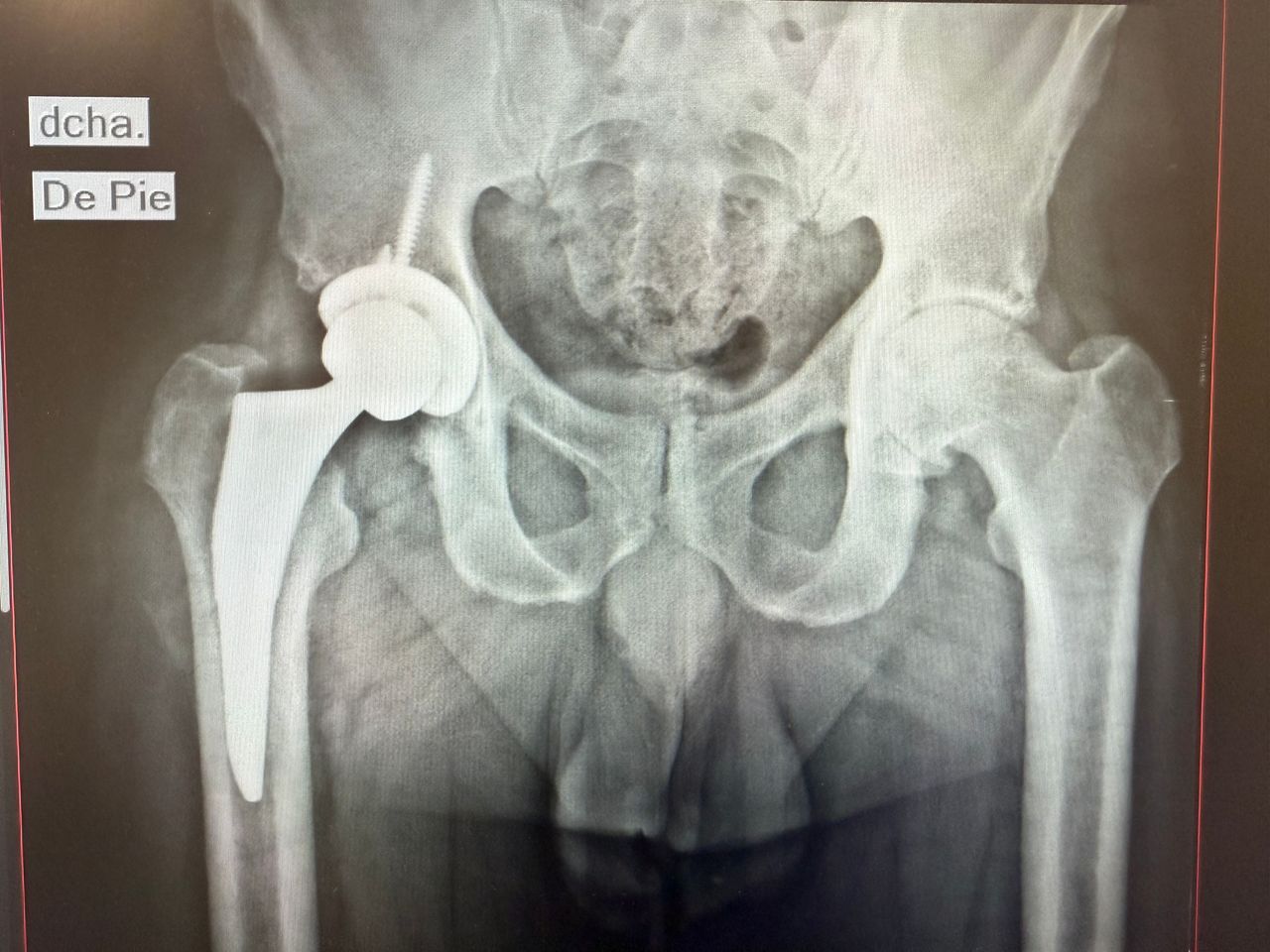 Rodrigo Muñoz Sabugo-0