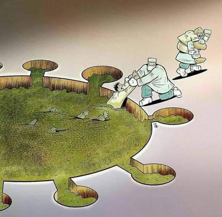 José Milton Cardoso Jr-14