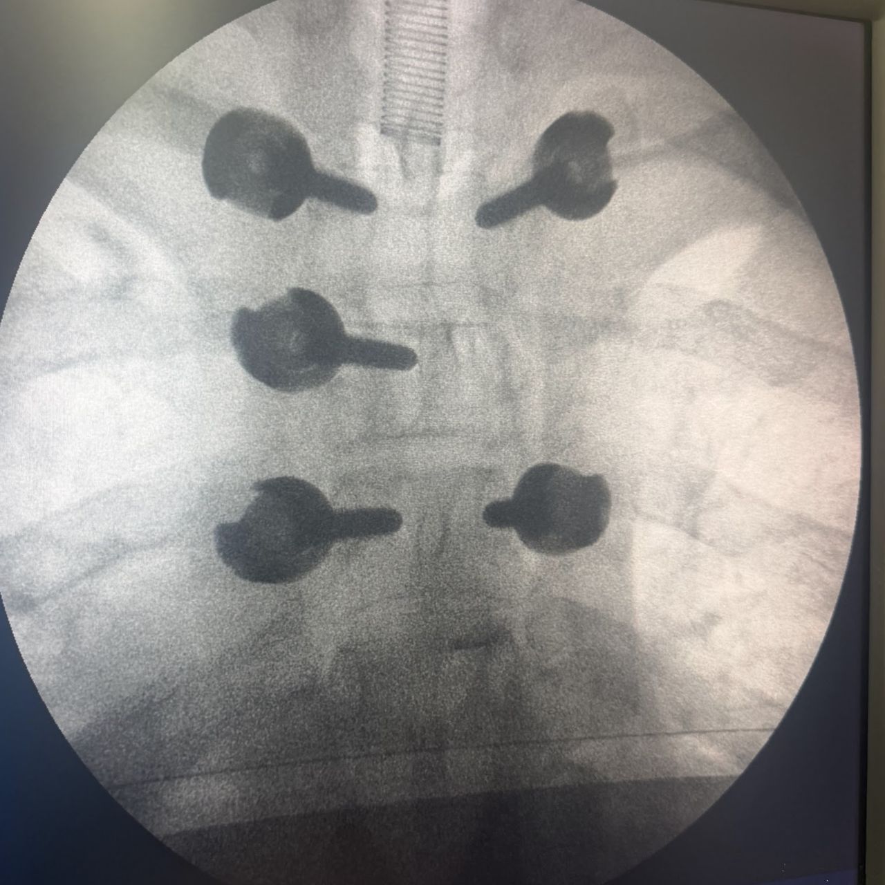 David Tafur Muñoz-2491