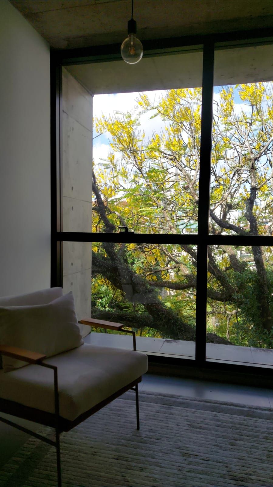 Gabriella Maurente-1