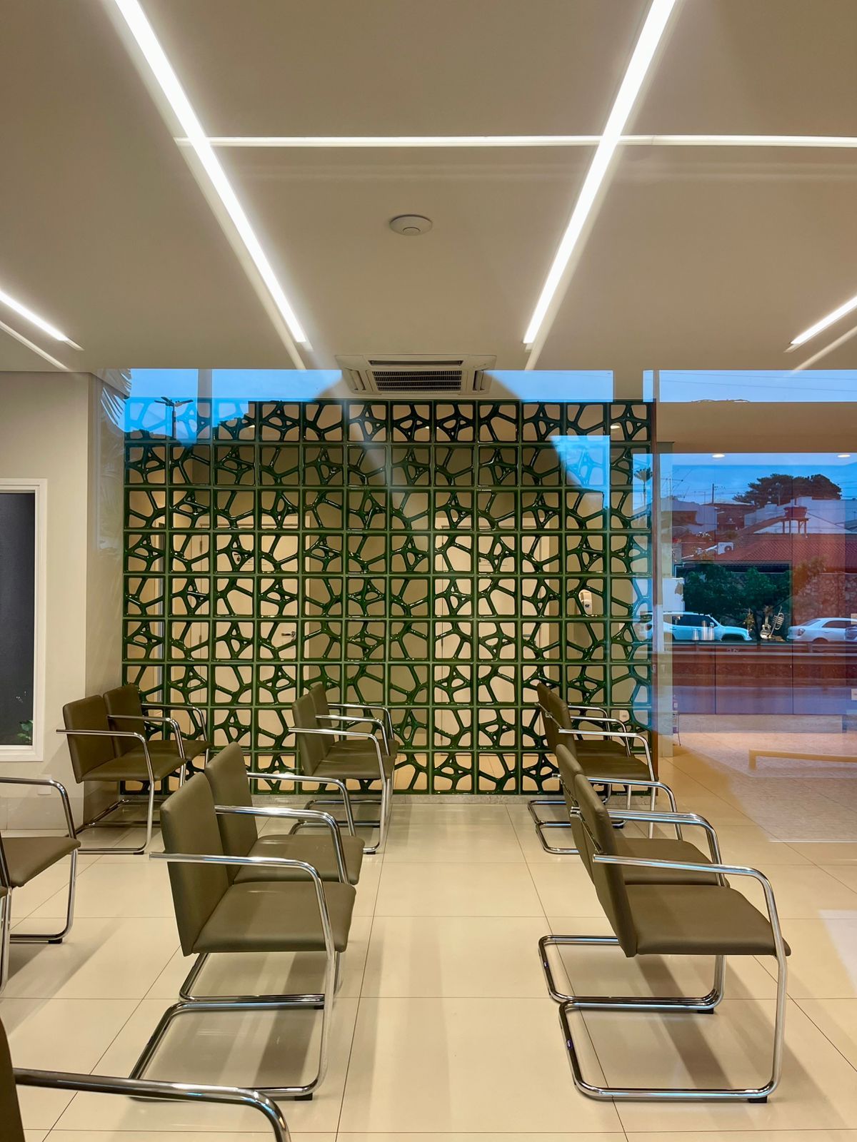 Flavio Viana Aleixo-4