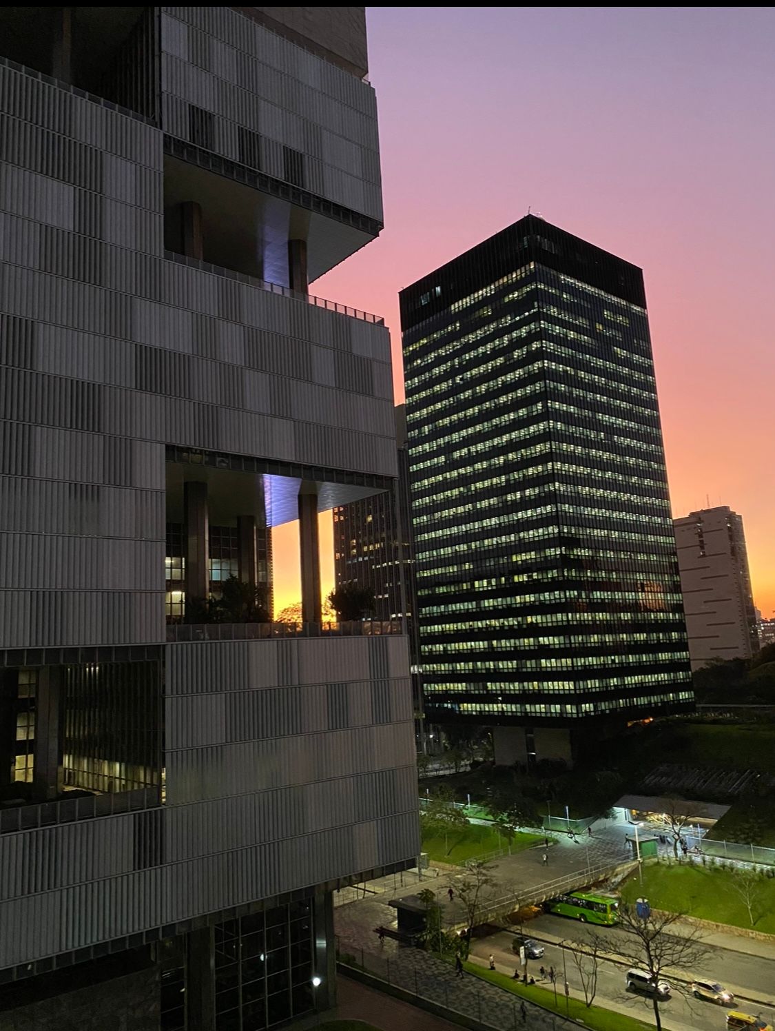 Luiz Antonio Benchimol Mororo-1