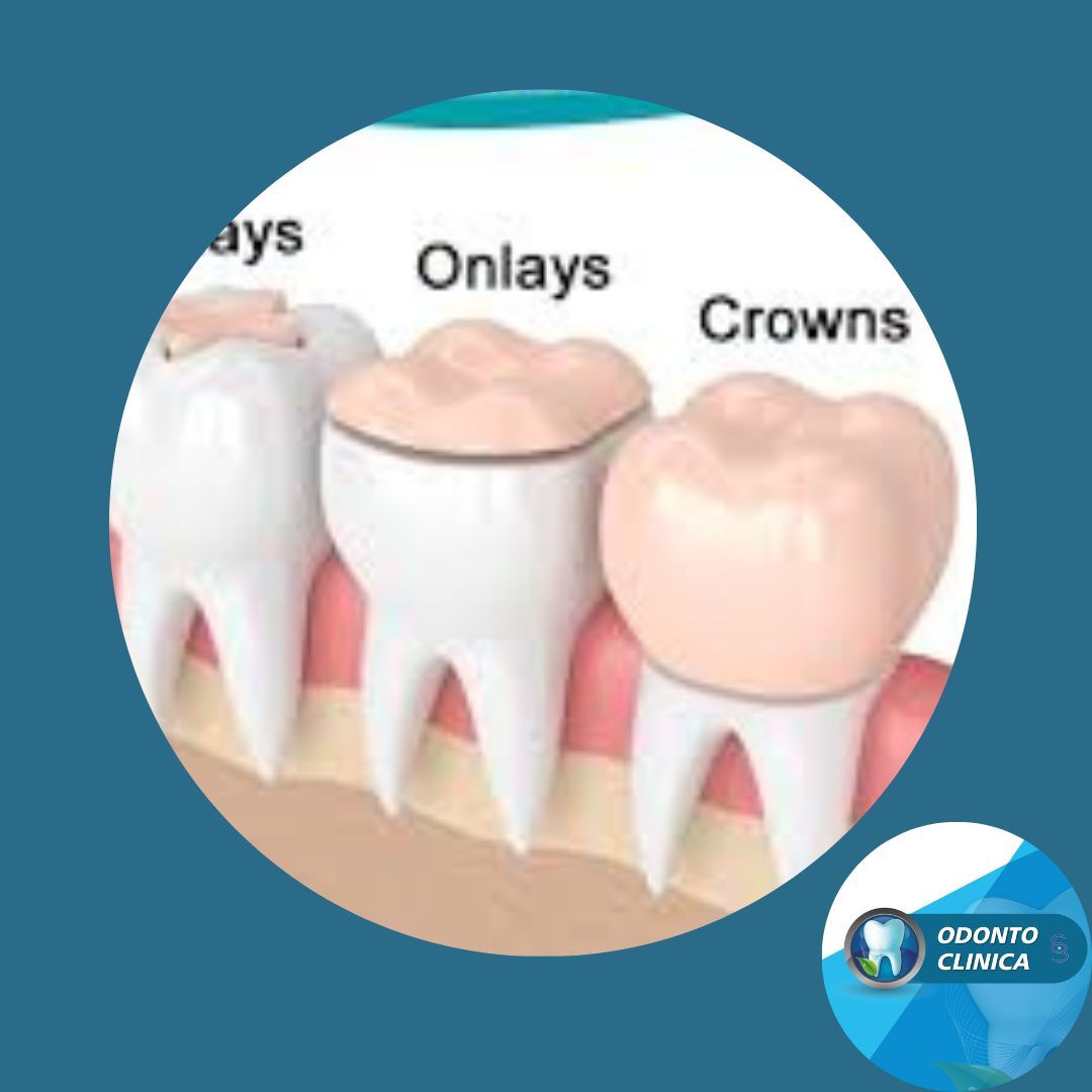 Cecilia Inés Socias Altamirano-29