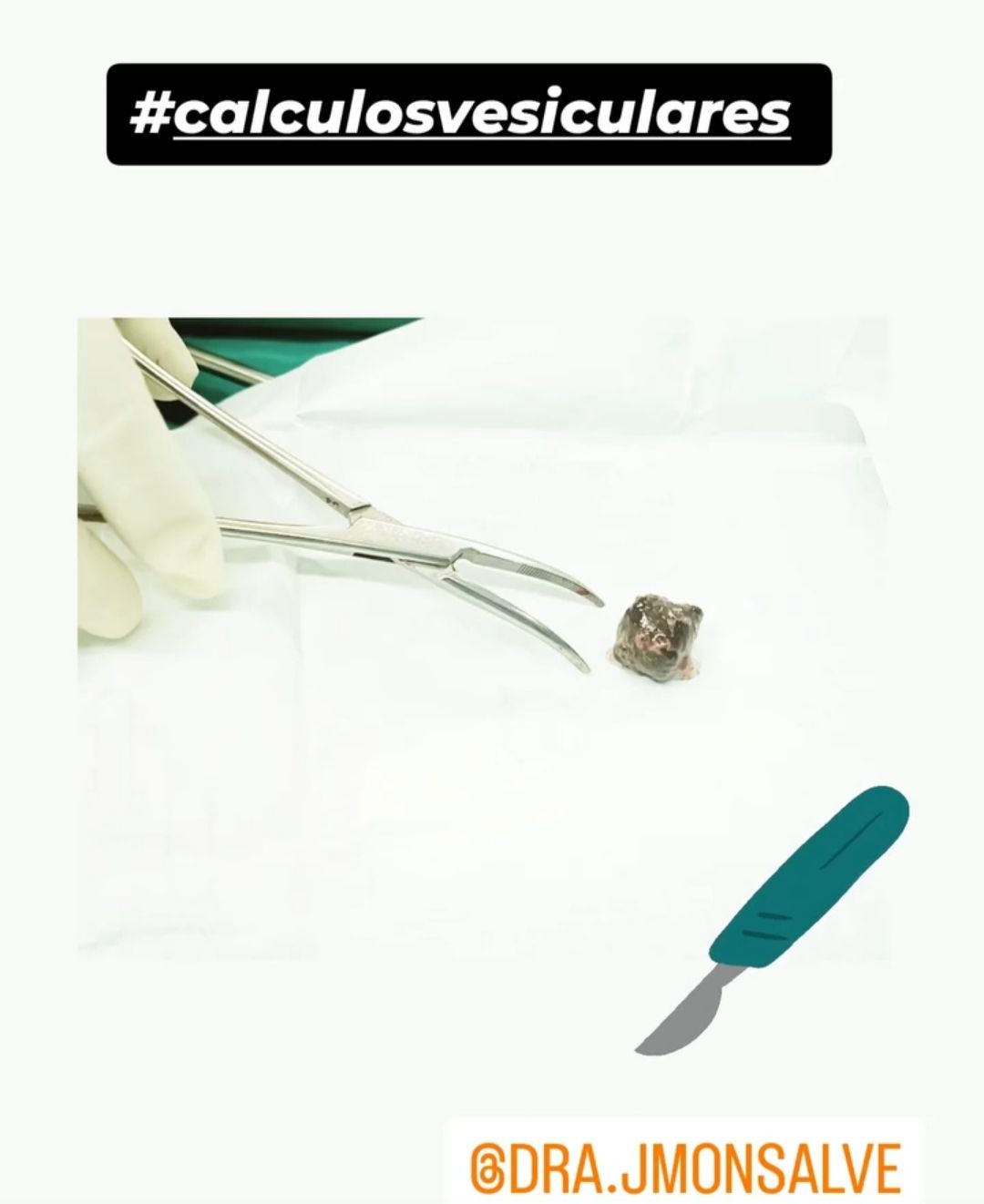 Joana Monsalve Nieto-4