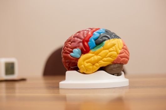 Claudia  Cecilia Almaraz Lobos-0